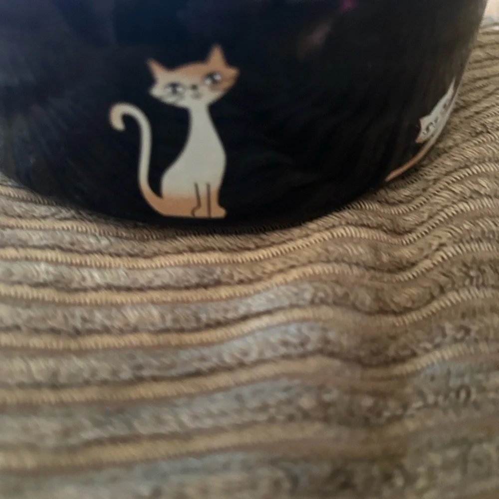 Black cat bowl 5